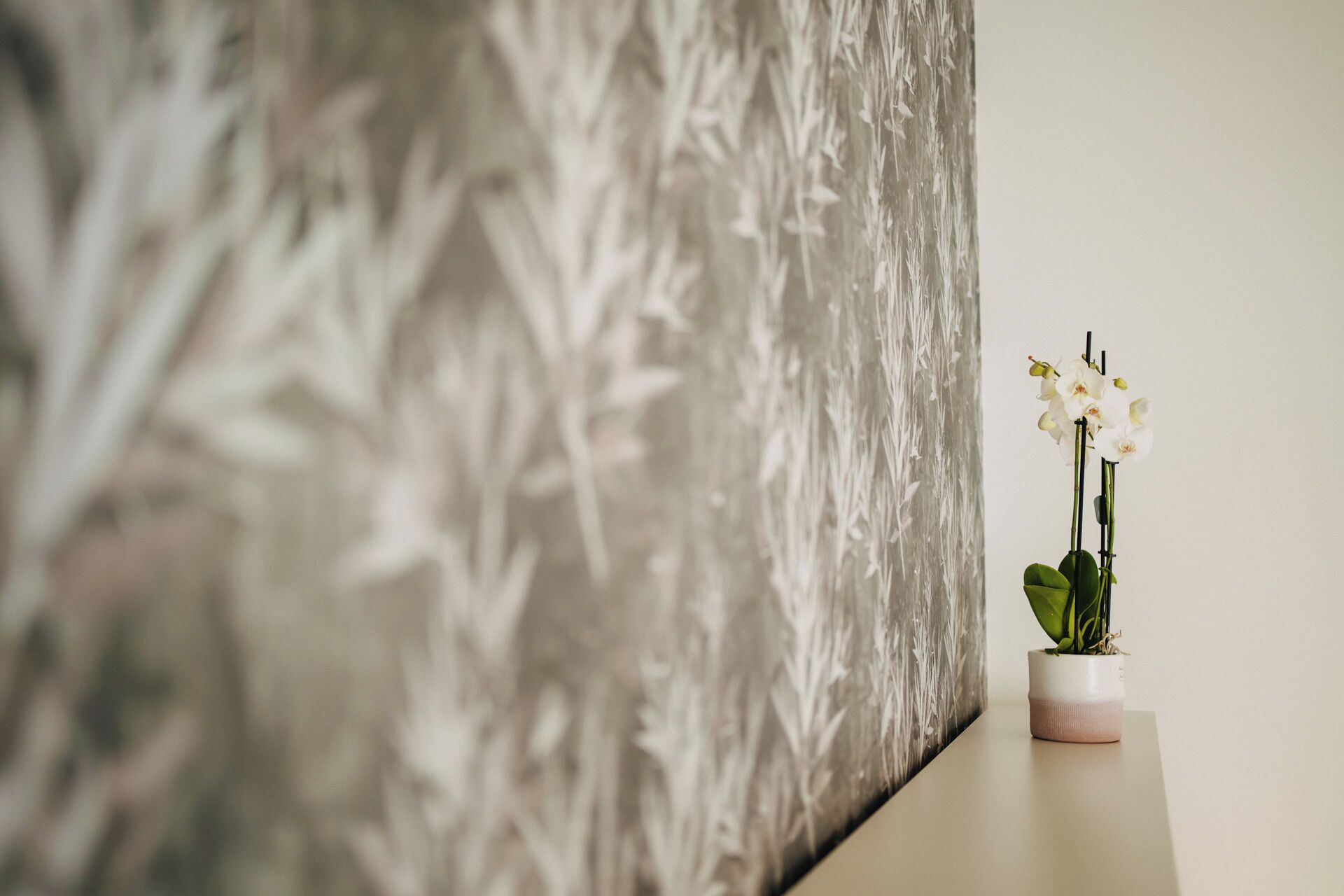 A wall with a textured pattern and a small potted orchid on a table.