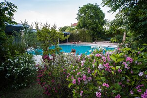 A swimming pool surrounded by lush greenery and flowers.