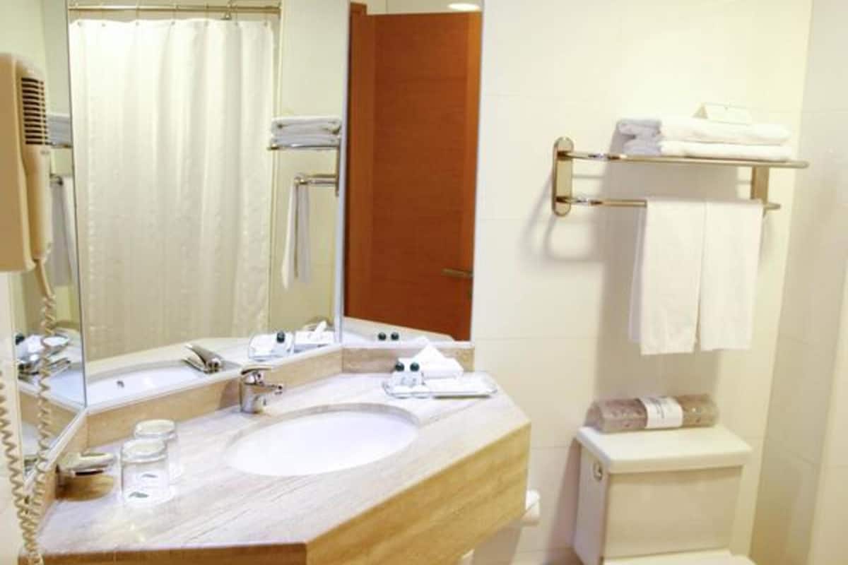 combined shower/bathtub, free toiletries, hair dryer, towels