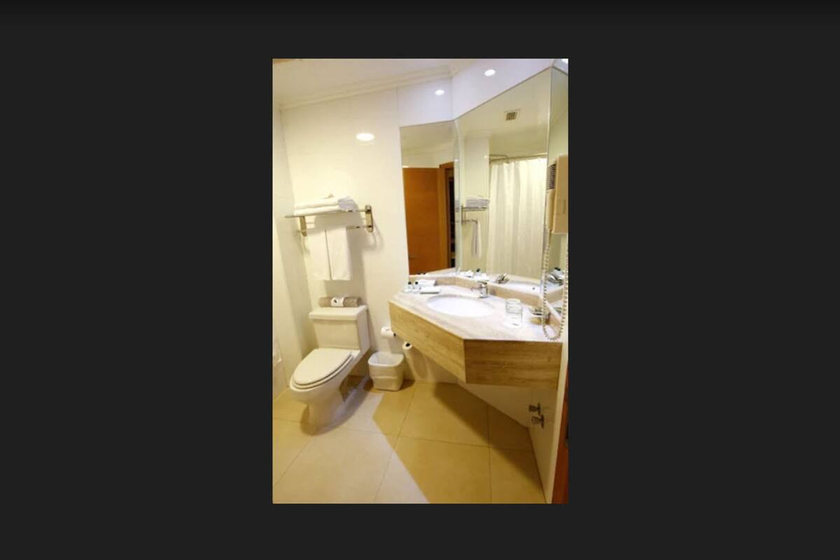 combined shower/bathtub, free toiletries, hair dryer, towels