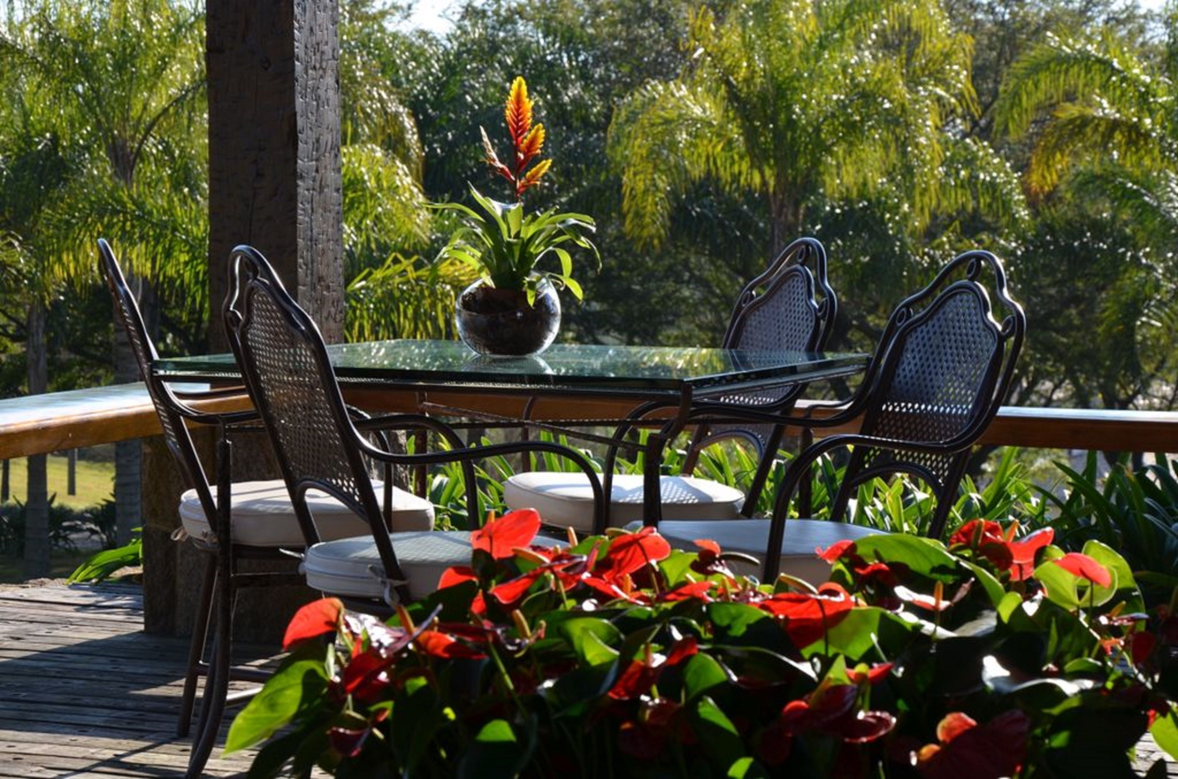 Un patio exterior con una mesa de vidrio rodeada de sillas, una planta en maceta y abundante follaje al fondo.