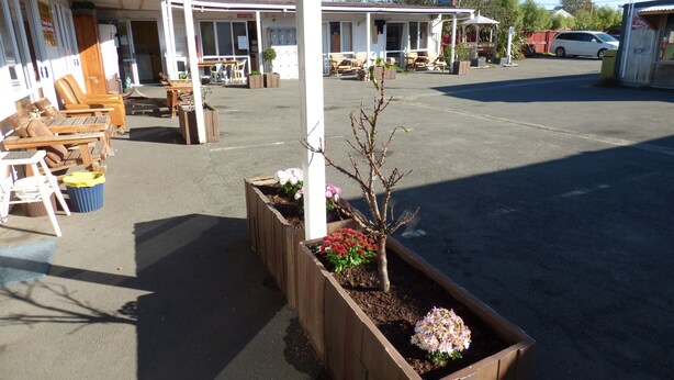 A parking lot with a building that has a covered seating area and a sign that reads "CANTEEN". - Racecourse Backpackers Hostel (Christchurch)