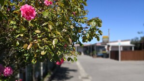 A roadside view with a row of pink flowers and green foliage. - Racecourse Backpackers Hostel (Christchurch)