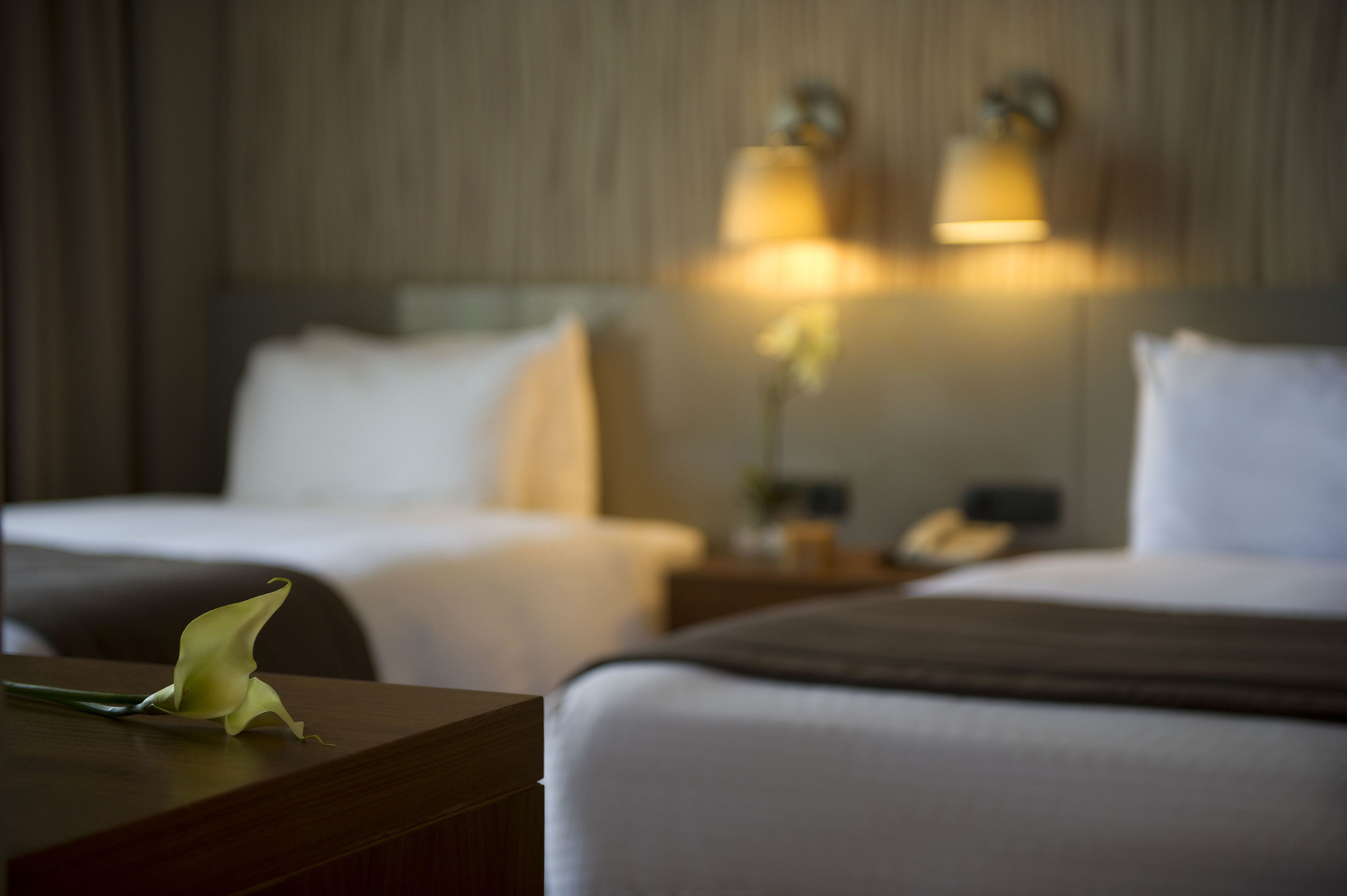 1 bedroom, premium bedding, down duvets, in-room safe