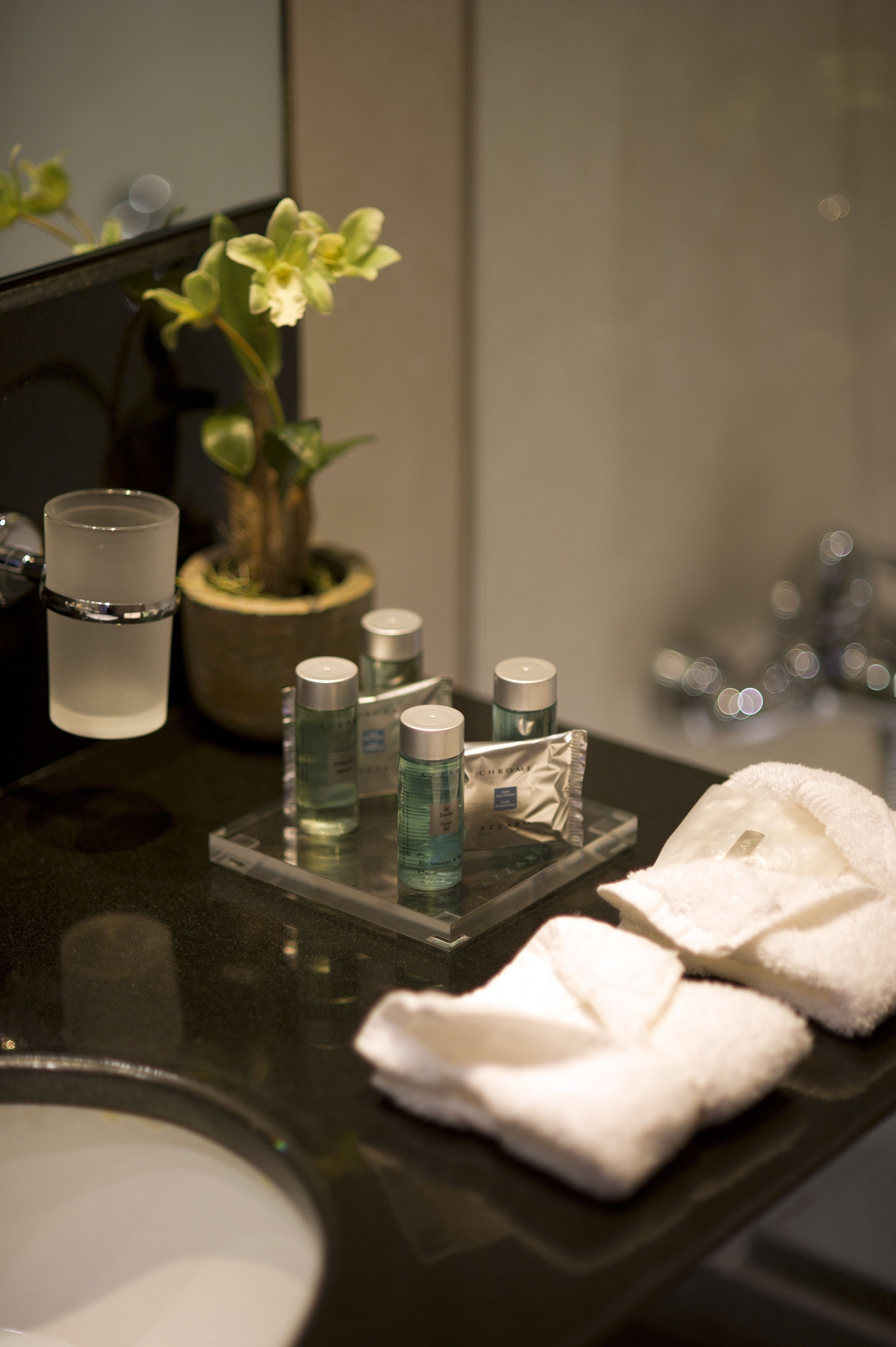 business suite, 1 bedroom | property amenity