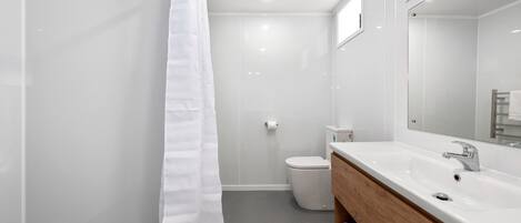 A modern bathroom with a shower, toilet, and a vanity with a mirror.
