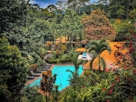 Una piscina al aire libre, camas de piscina gratis