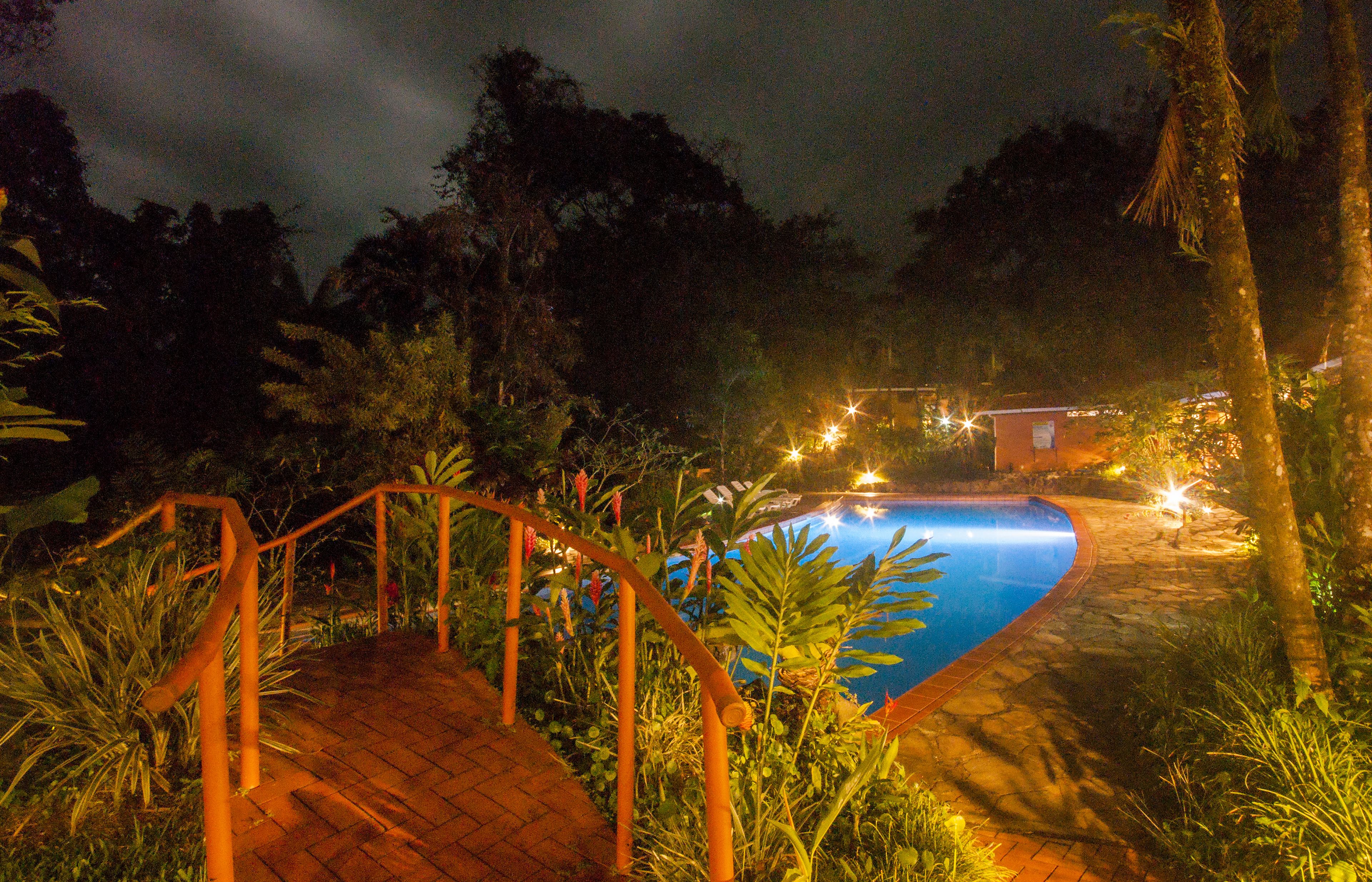 Vista nocturna de una piscina rodeada de exuberante follaje y una terraza de madera.