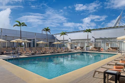 Outdoor pool, pool umbrellas, pool loungers