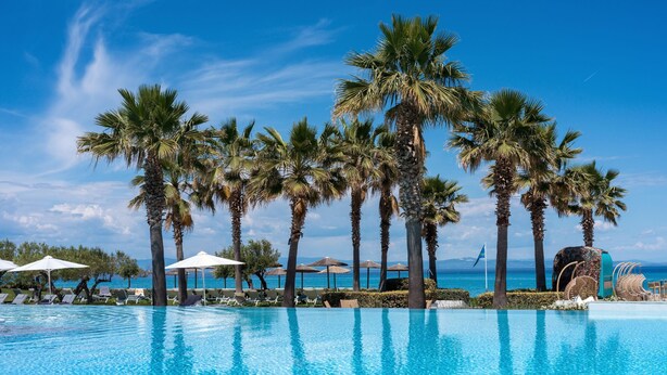 A poolside area with palm trees, lounge chairs, and umbrellas.