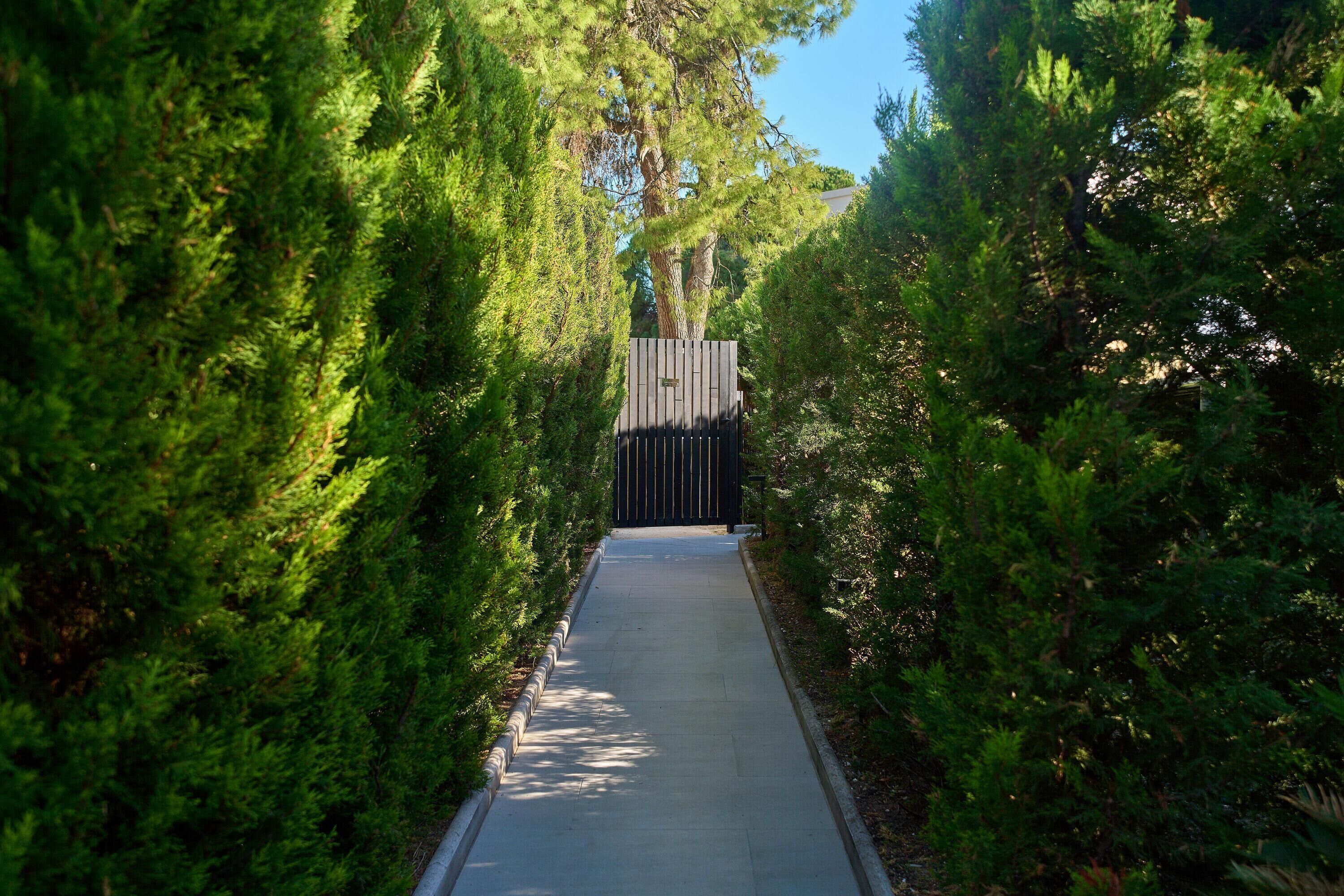 A pathway flanked by dense green foliage leading to a gated entrance.