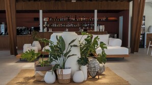 A modern living area with a sofa, potted plants, and a bar area in the background.