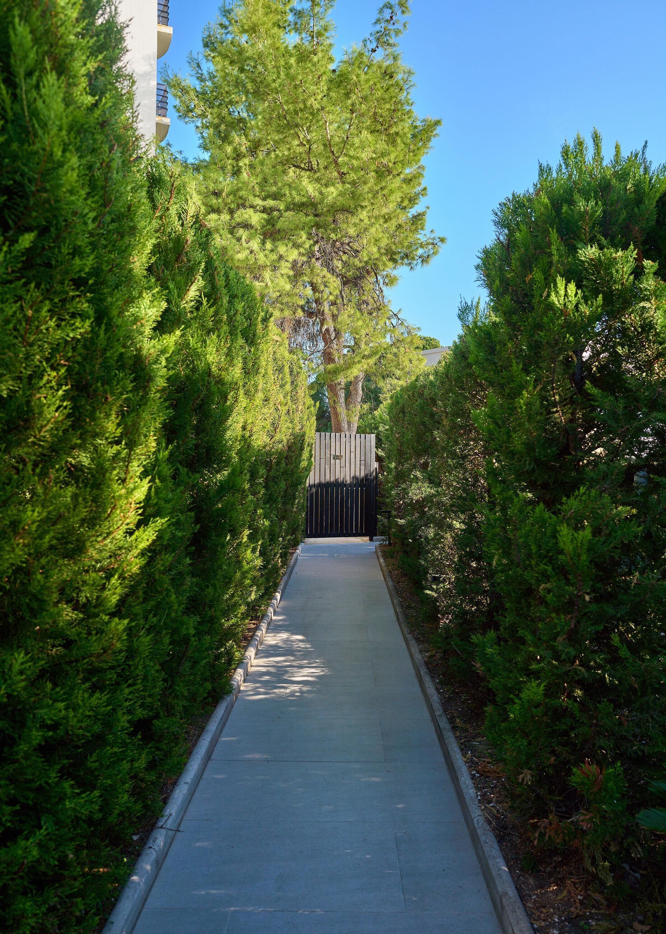 Un sendero bordeado por setos verdes y frondosos que conduce a una entrada con portón.