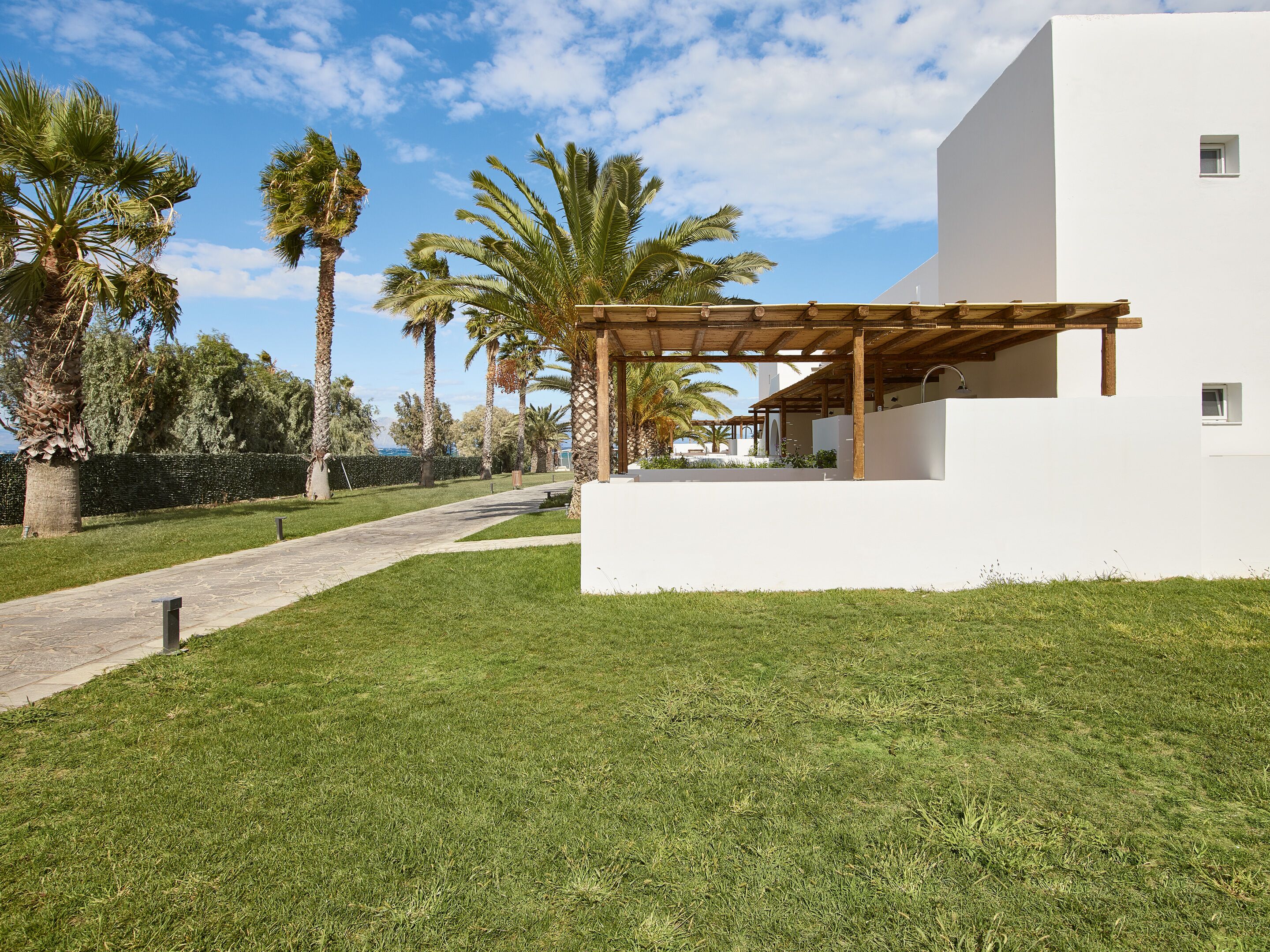 A modern outdoor area with a covered patio, a pathway, and palm trees.