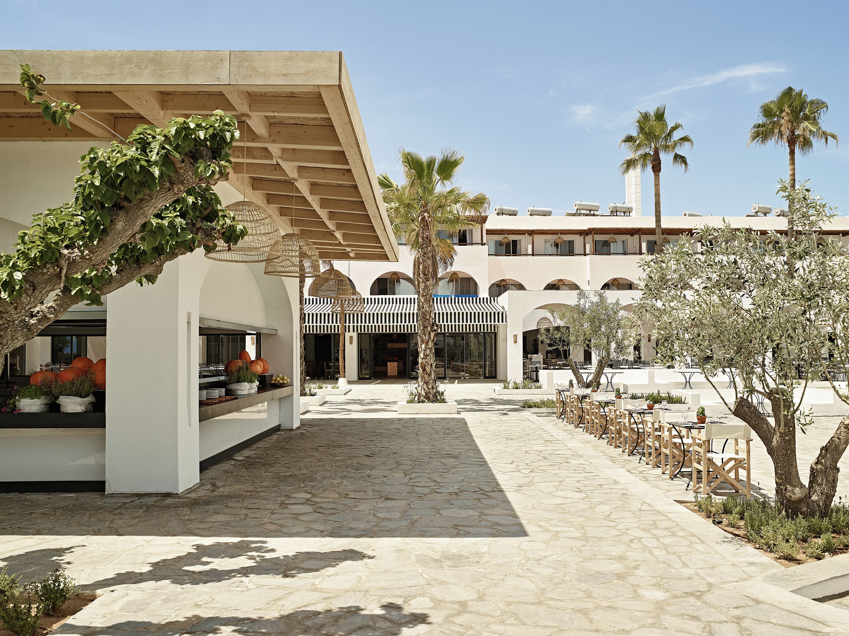 Un patio con suelo de piedra, asientos al aire libre y palmeras.