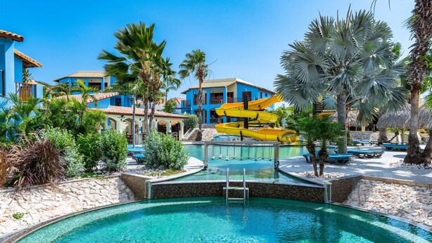 A swimming pool surrounded by palm trees and a water slide.