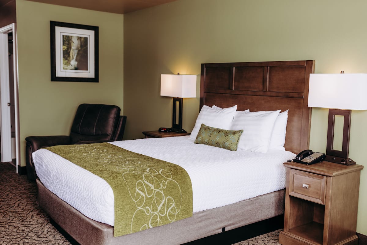 Quarto de hotel com uma cama grande, duas luminárias de cabeceira, uma cadeira, mesa de cabeceira com telefone e uma moldura na parede.