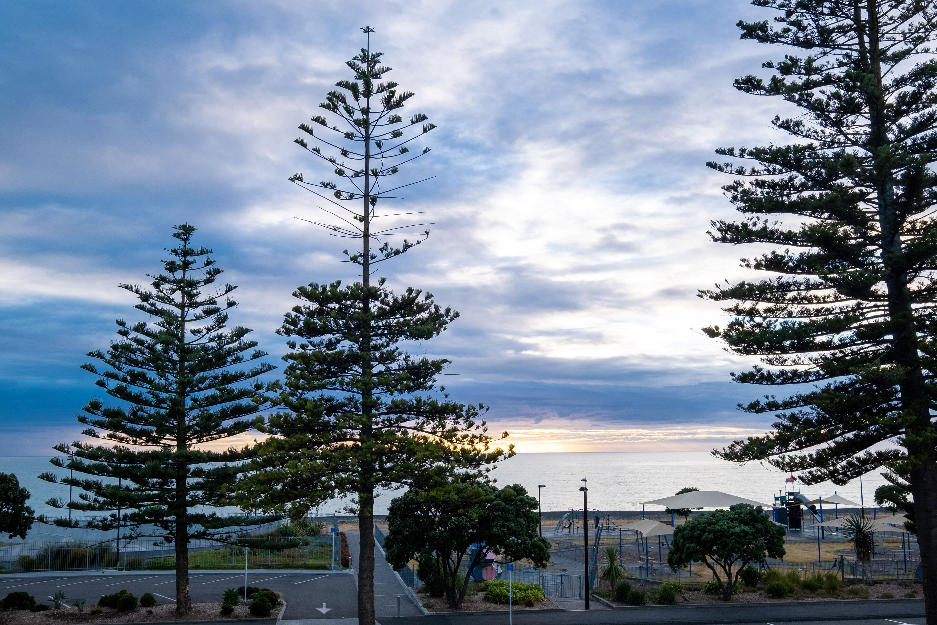 Vista sulla costa con alte pinete, un'area parcheggio e una spiaggia sullo sfondo.