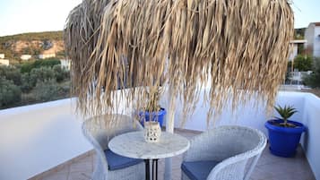 Standardzimmer | Terrasse/Patio