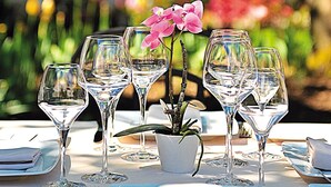 A table set for a meal with multiple wine glasses, a small potted plant, and neatly arranged cutlery. - Le Relais Louis XI (Meung-sur-Loire)