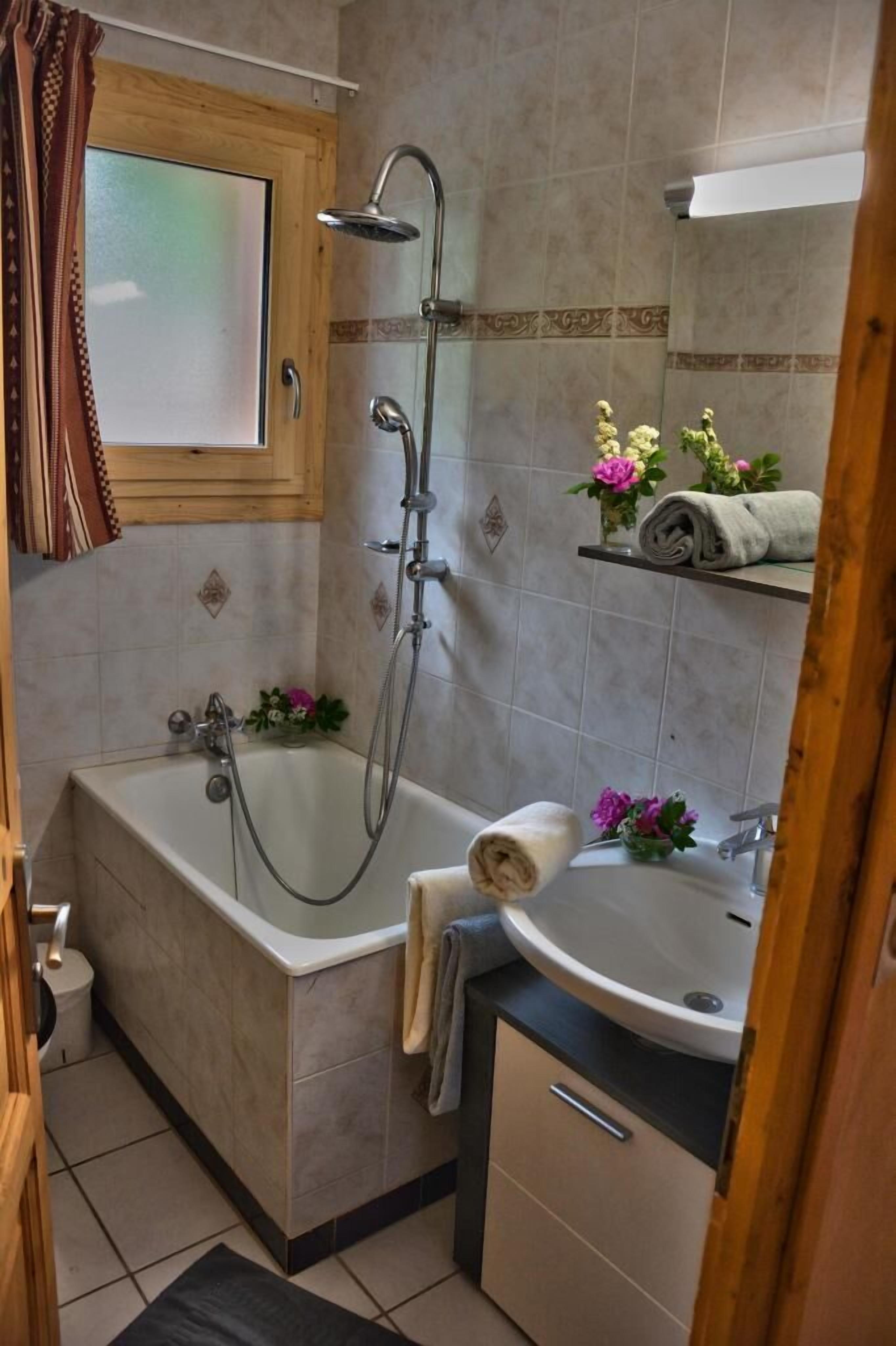 apartment, 1 bedroom (for 2 people) | bathroom | hair dryer