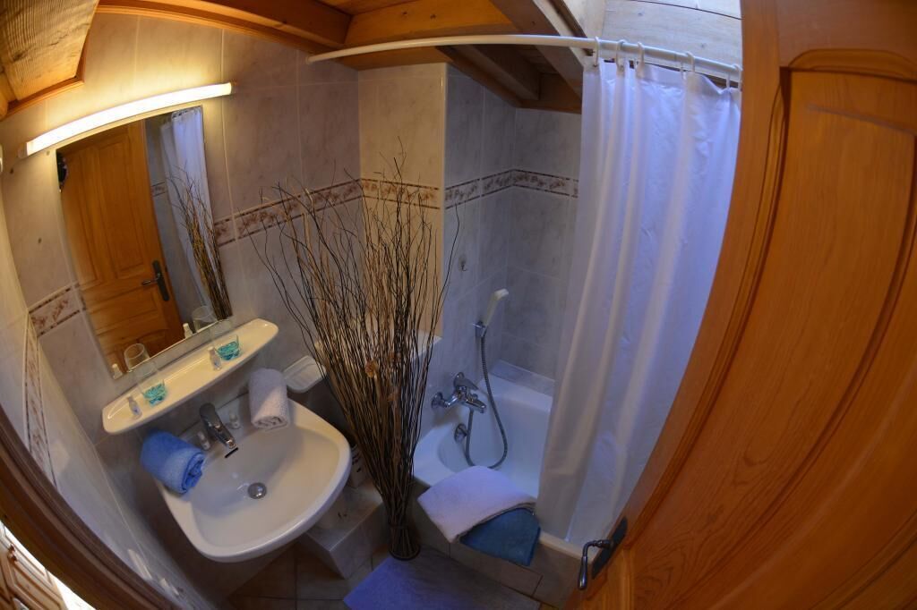 apartment, 1 bedroom (for 4 people) | bathroom | hair dryer