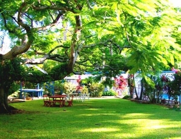 View from property - Buderim Motor Inn (Sunshine Coast)