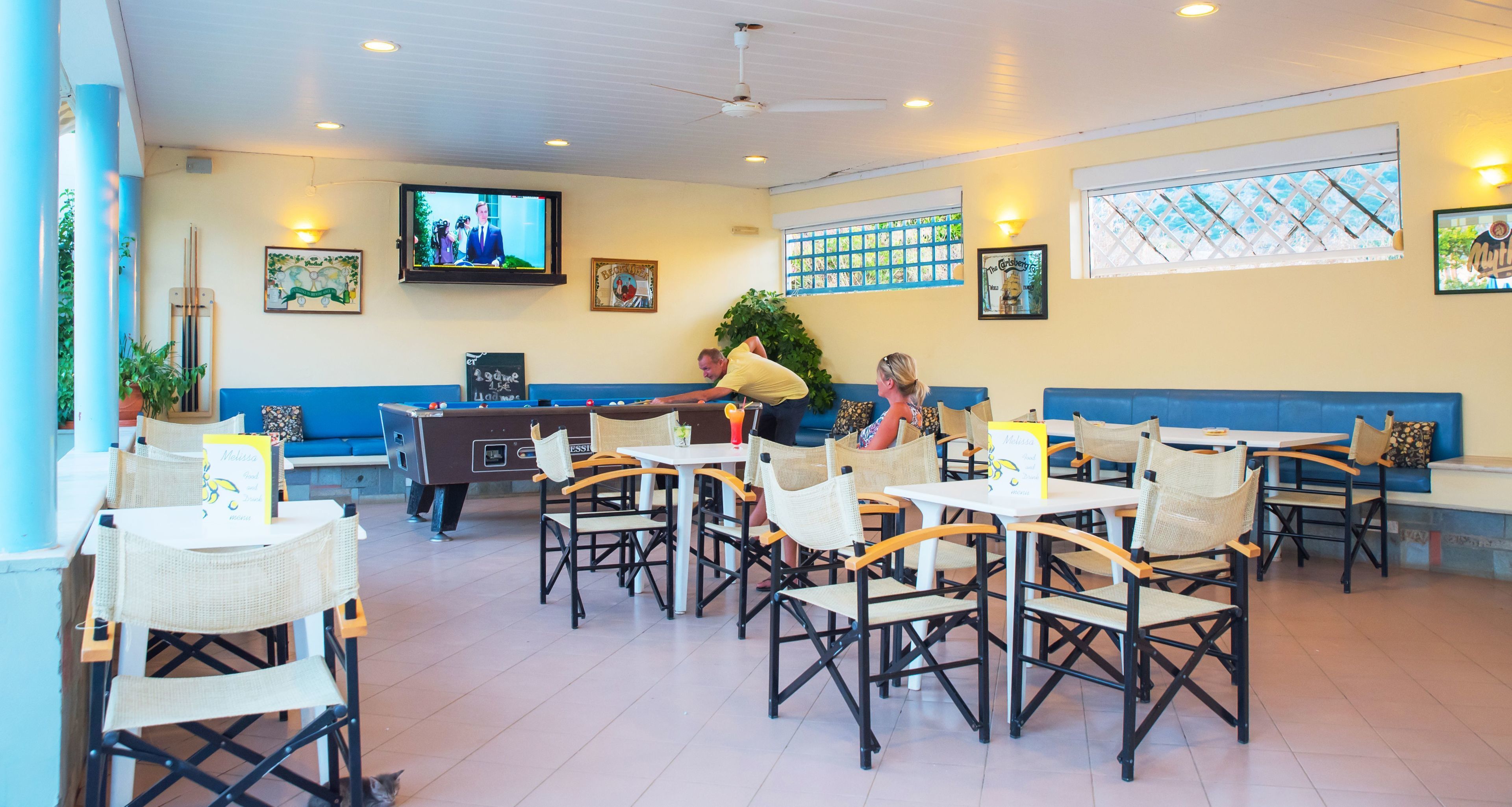 A restaurant with booths, tables, and chairs. There is a TV on the wall and a plant on the counter.