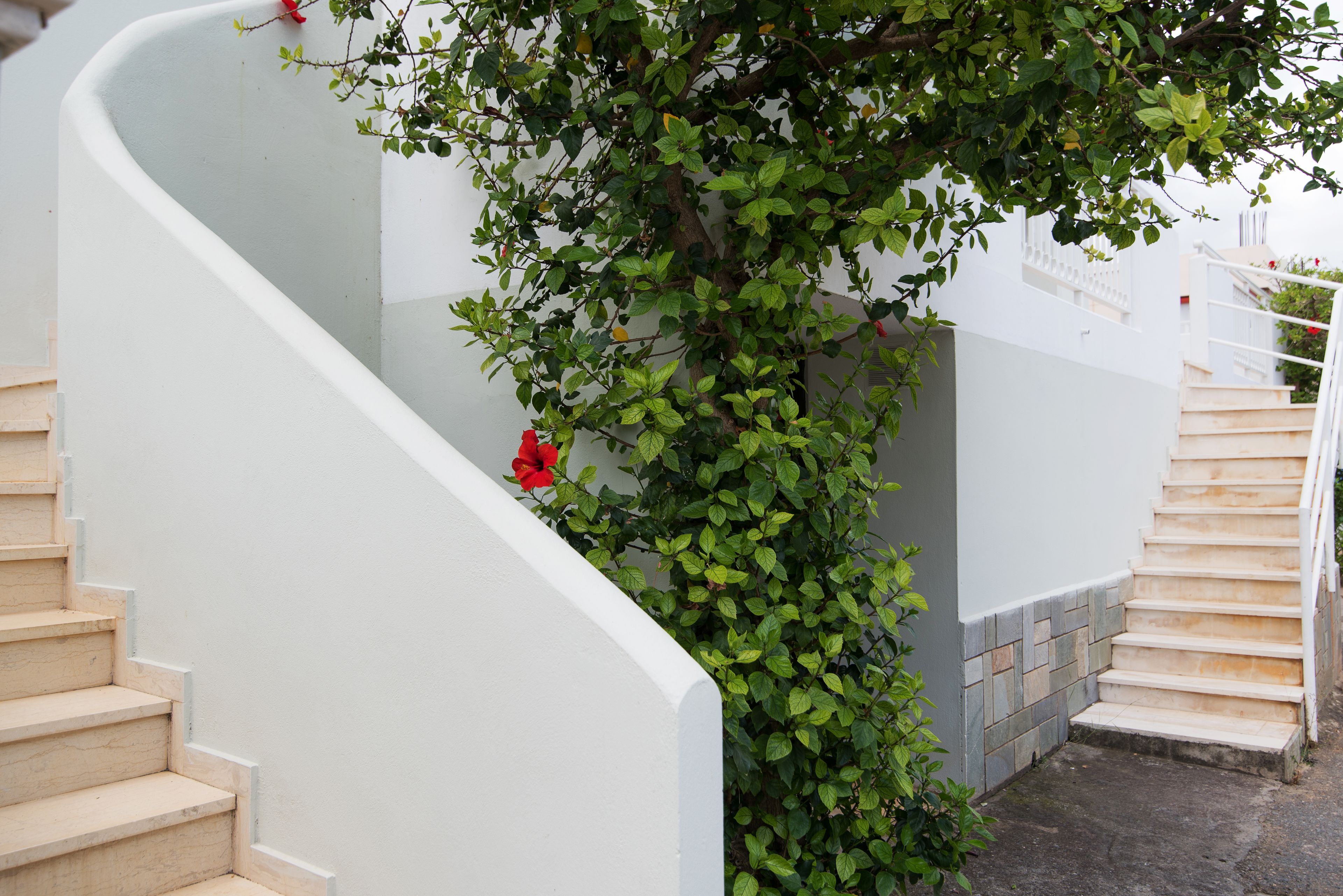 Photo - Melissa Apartments, Studios & Suites