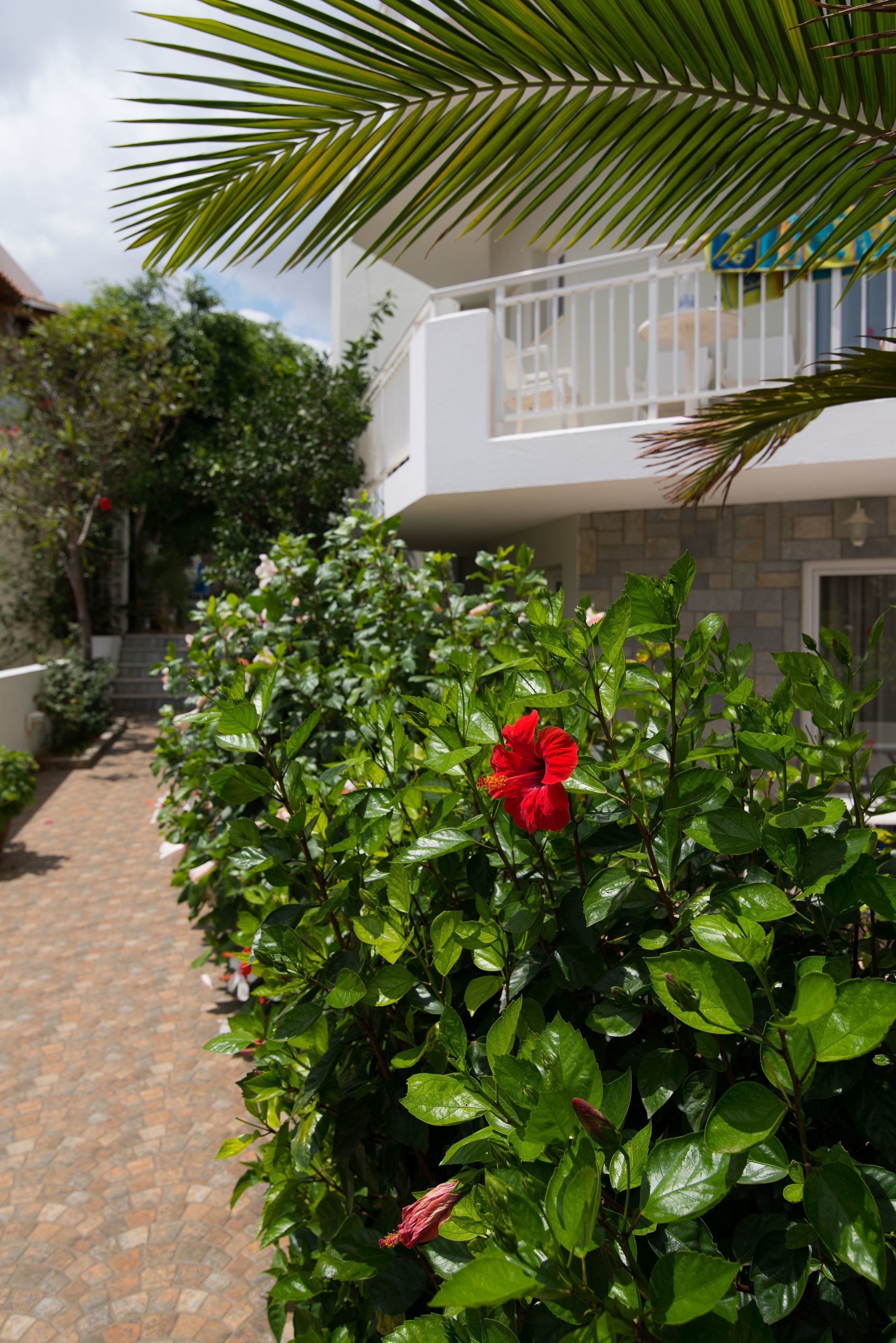 Photo - Melissa Apartments, Studios & Suites