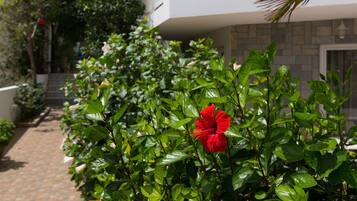 Un sendero bordeado de exuberante follaje verde y una flor de hibisco roja, que conduce a un edificio blanco con balcón.