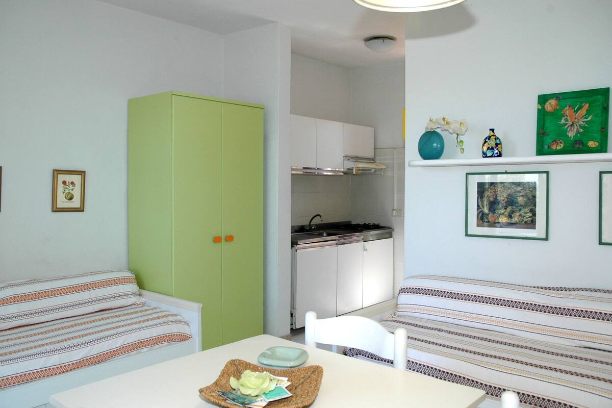 A compact room with a kitchenette, two striped sofas, a dining table, and a green wardrobe.