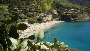 A coastal town with a beach, houses, and cacti in the foreground. - La Turistica (Capoliveri)
