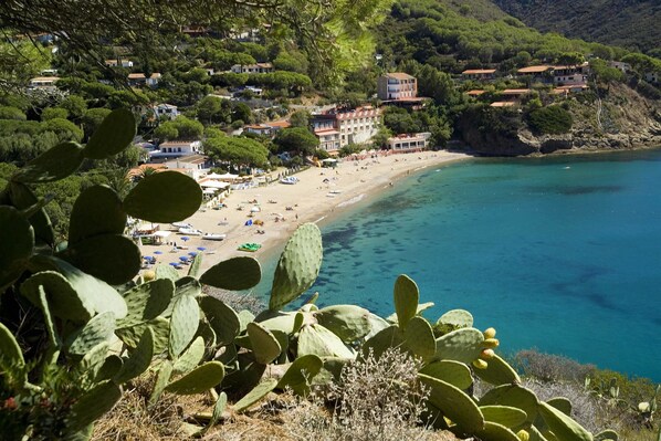 A coastal town with a beach, houses, and cacti in the foreground. - La Turistica (Capoliveri)