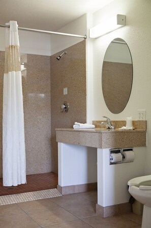 Un baño con ducha, lavabo con espejo e inodoro.