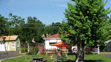 Grill- och picknickområde