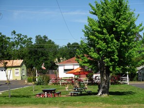A green house with a red roof, a white building with an orange awning, and a large tree in the foreground. - Jumping Frog Motel (Angels Camp)