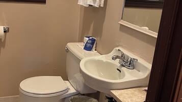 A bathroom with a toilet, sink, and mirror.