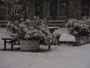 Exterior - Jumping Frog Motel (Angels Camp)