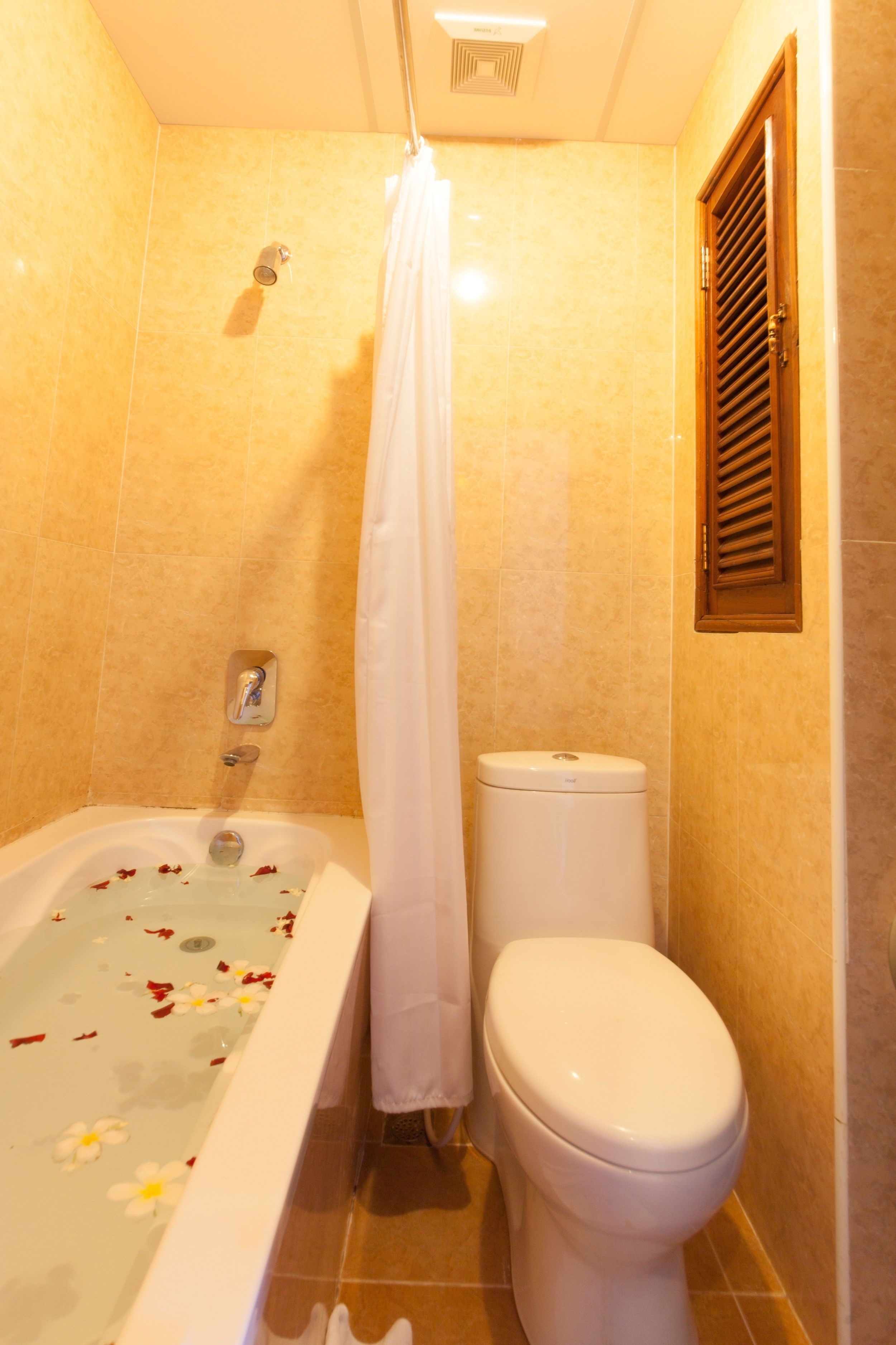 shower, designer toiletries, hair dryer, slippers