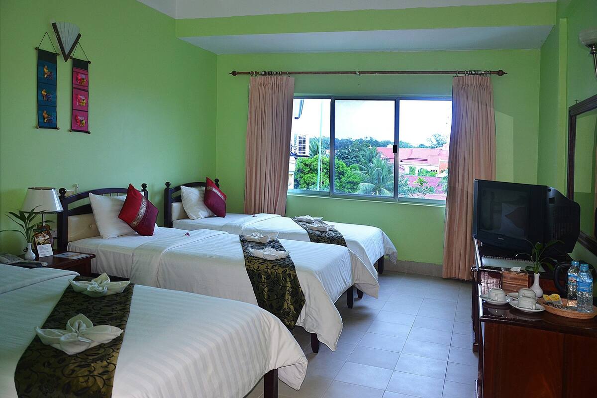 Habitación de hotel con tres camas, televisión, escritorio con una planta y ventana con vista a edificios y árboles.