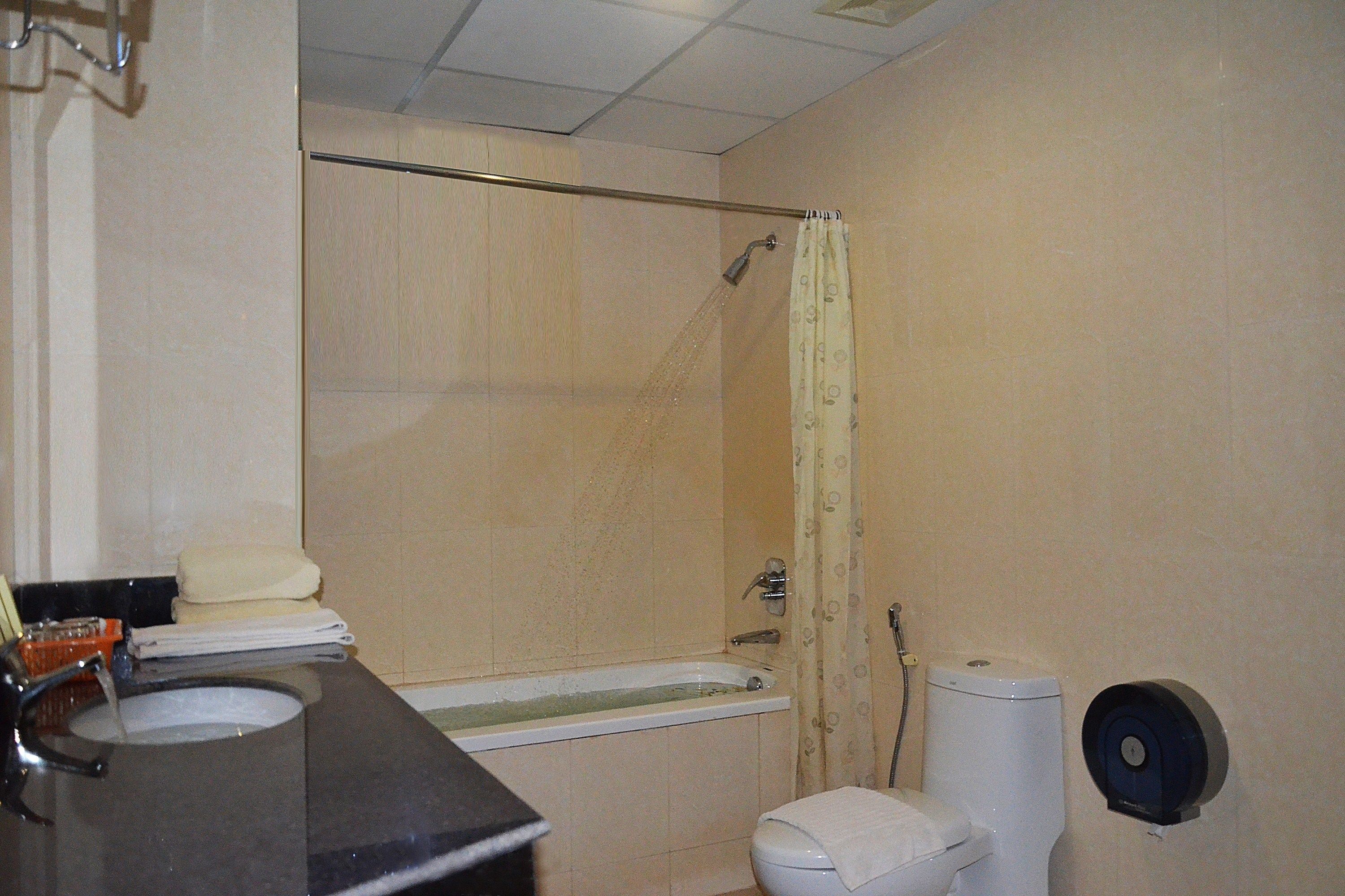 shower, designer toiletries, hair dryer, slippers