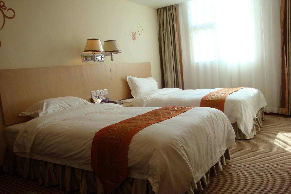 Standard Twin Room | Down comforters, rollaway beds (surcharge), WiFi (free)