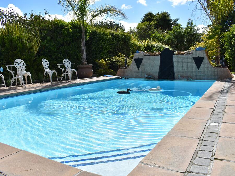 A swimming pool with a duck swimming, surrounded by white chairs and a tiled wall with a black arrow design.