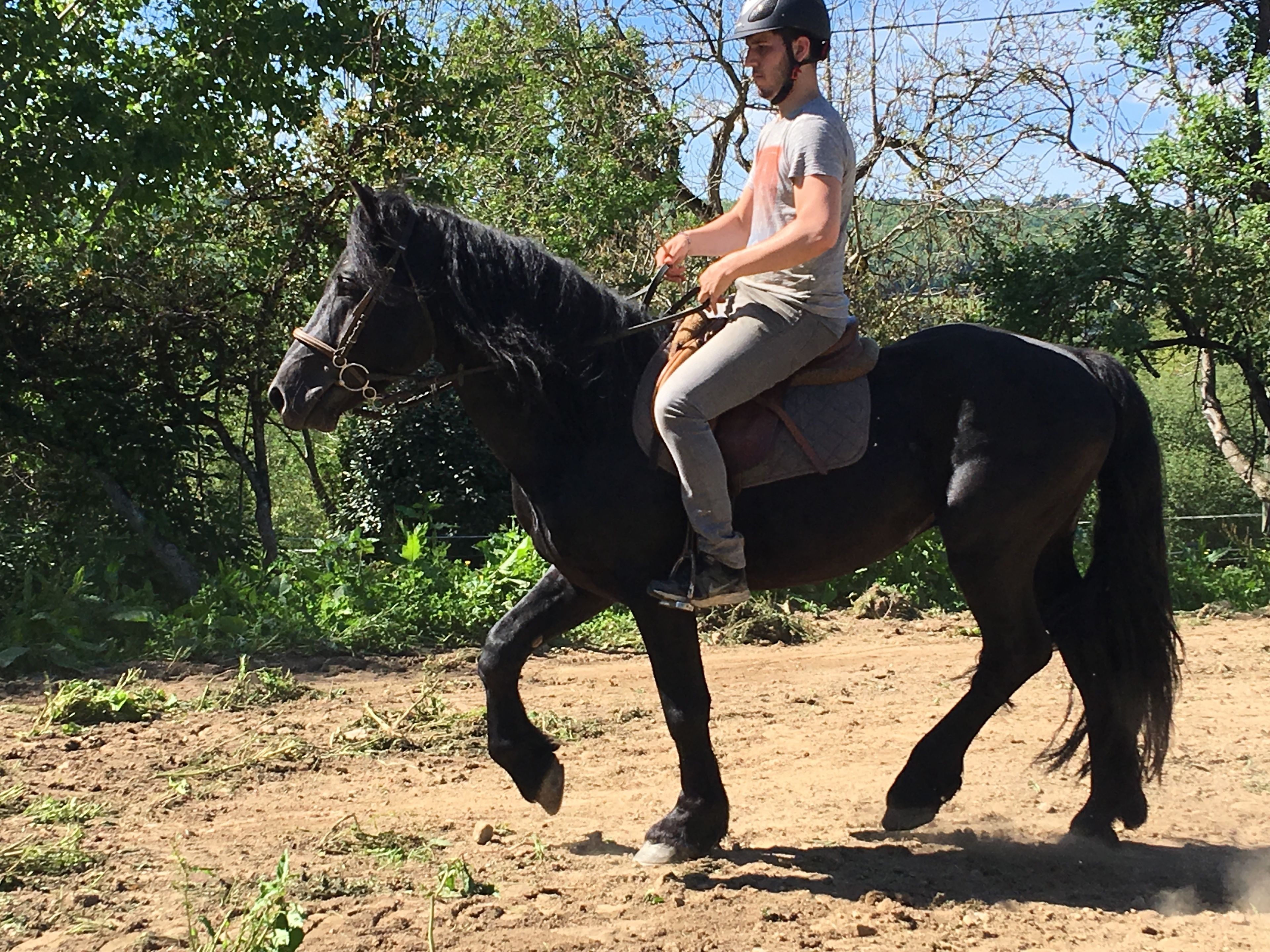 children’s activities