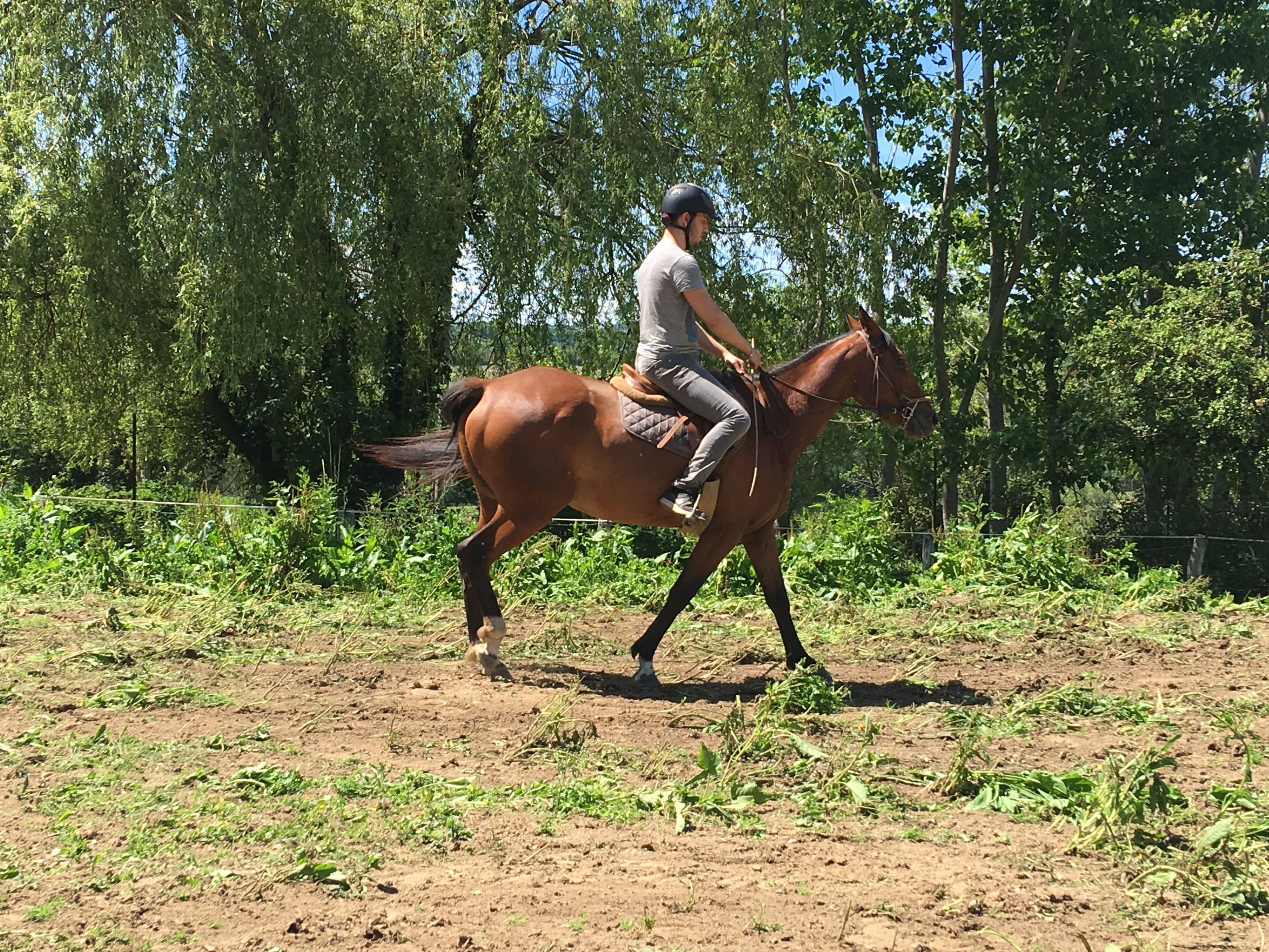 children’s activities