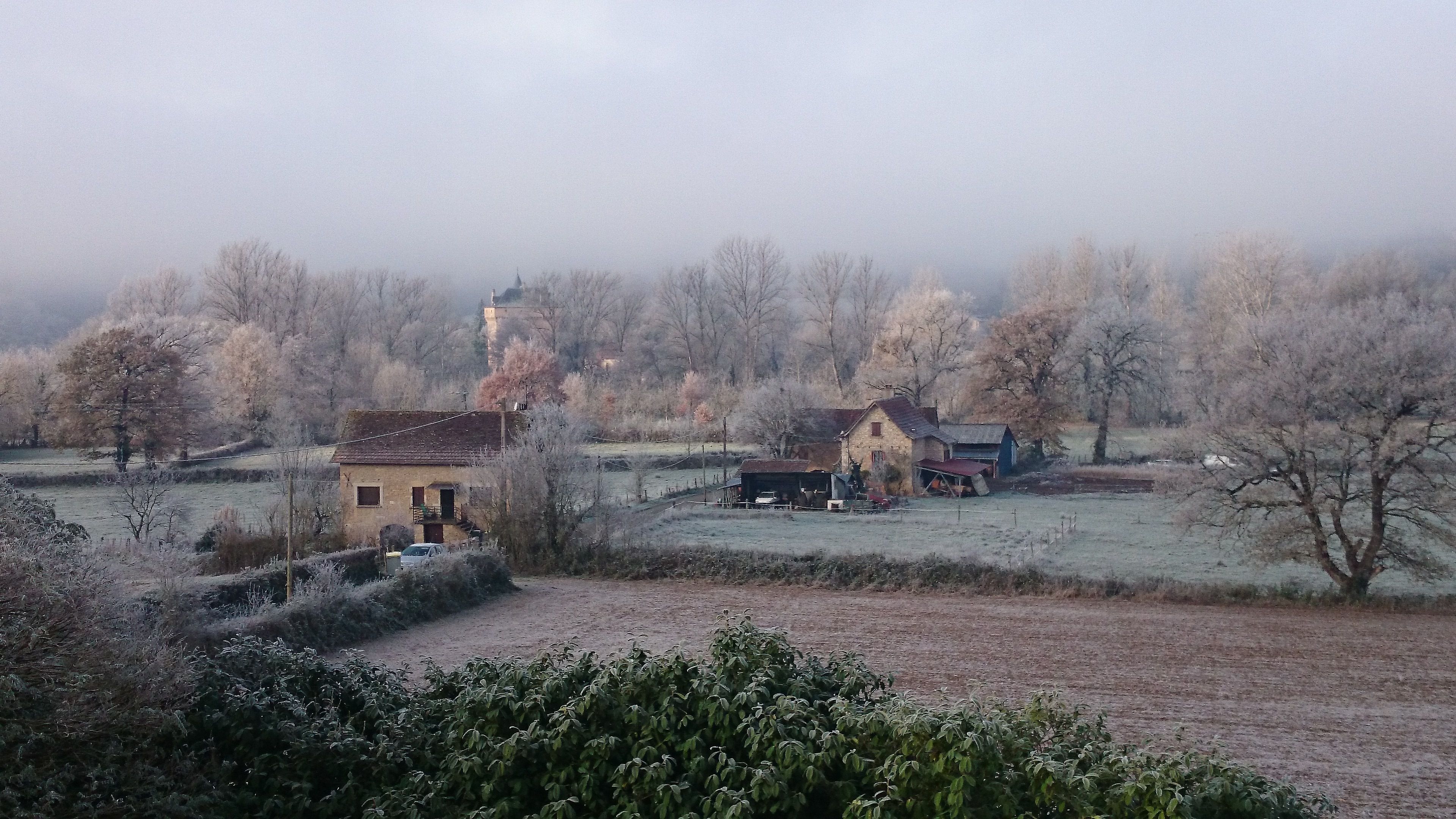 A rural landscape with houses and trees, some covered in frost.