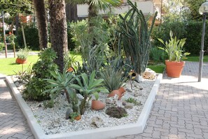 Un jardín con diversas plantas y un borde blanco.