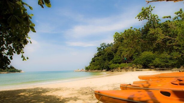 A beach with rows of orange boats and dense green foliage. - Anjungan Beach Resort (Pangkor Island)