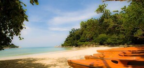 A beach with rows of orange boats and dense green foliage. - Anjungan Beach Resort (Pangkor Island)